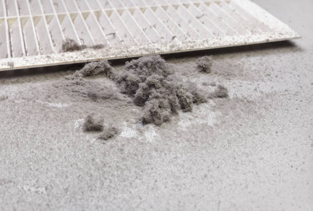 Best Local Air Duct Cleaning Services  in Eslon, CA