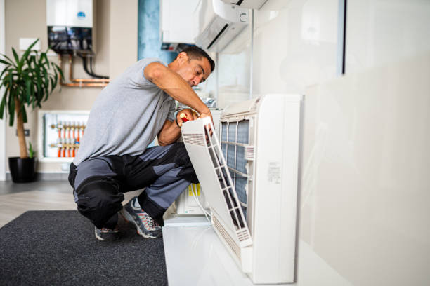 Best Ductwork Cleaning Services  in Eslon, CA