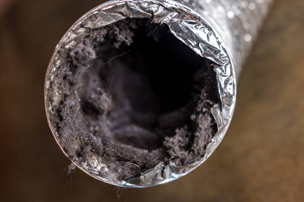 Best Local Air Duct Cleaning Services  in Eslon, CA